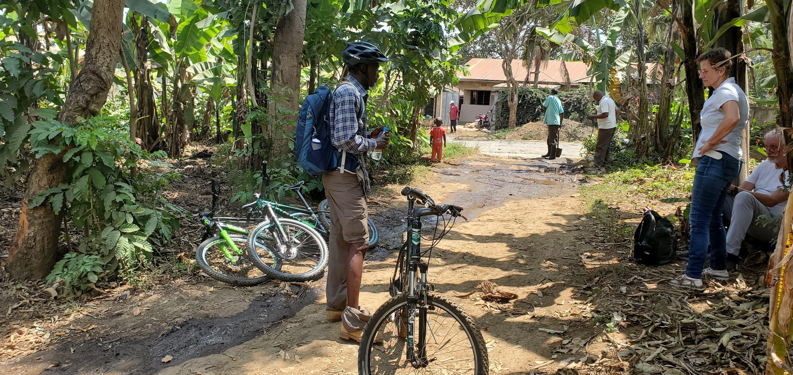 Traditional banana beer making