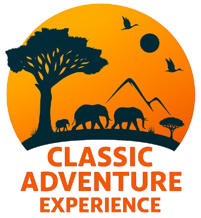 Classic Adventure Experience logo